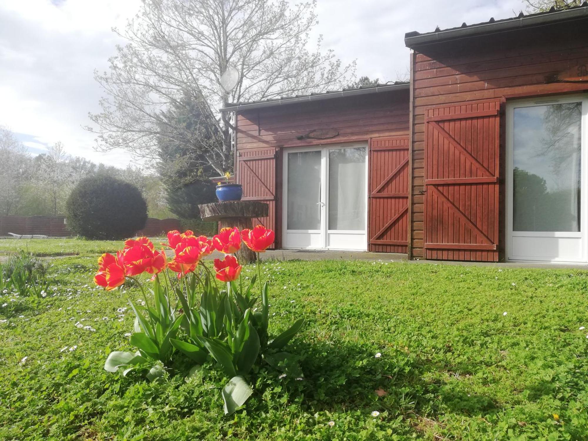 Montamisé Chalets Mouliere Evasion מראה חיצוני תמונה